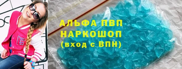 PSILOCYBIN Кодинск