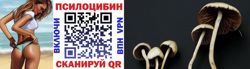 Галлюциногенные грибы мухоморы  Москва 